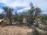 3575 Marcos De Niza Trail - Photo 5