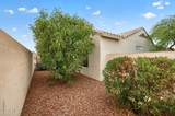 14309 Wagon Wheel Drive - Photo 60