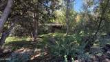 417 Torrey Pine Lane - Photo 43