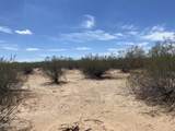 6515 Trico Road - Photo 11