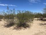 6515 Trico Road - Photo 13