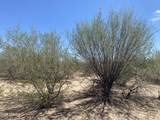 6515 Trico Road - Photo 14