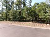 301 Huckleberry Lane - Photo 3