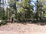 301 Huckleberry Lane - Photo 6