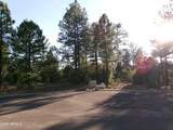 301 Huckleberry Lane - Photo 8