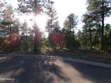 301 Huckleberry Lane - Photo 9