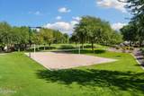 26847 Potter Drive - Photo 52