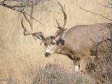 E162 De Vaca Circle - Photo 10