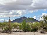 0 Deer Trl Lot D 2.5 Acres - Photo 15