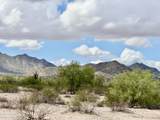 0 Deer Trl Lot D 2.5 Acres - Photo 19