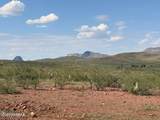 40 ac Wildcat Road - Photo 14