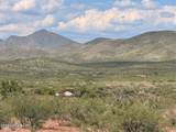 40 ac Wildcat Road - Photo 15