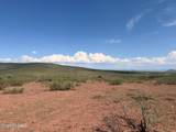 40 ac Wildcat Road - Photo 18