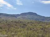 40 ac Wildcat Road - Photo 2