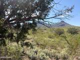 40 ac Wildcat Road - Photo 34