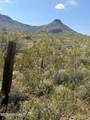 40 ac Wildcat Road - Photo 35
