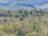 40 ac Wildcat Road - Photo 36