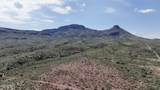 40 ac Wildcat Road - Photo 4