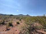40 ac Wildcat Road - Photo 40