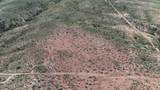 40 ac Wildcat Road - Photo 49