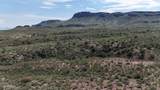 40 ac Wildcat Road - Photo 5