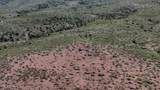 40 ac Wildcat Road - Photo 51
