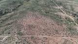 40 ac Wildcat Road - Photo 53