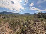 40 ac Wildcat Road - Photo 8