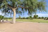 4228 Carob Drive - Photo 37