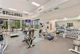 4228 Carob Drive - Photo 49