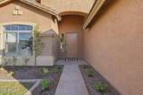 3945 Cactus Wren Drive - Photo 5