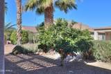 2394 Fiesta Drive - Photo 51