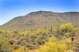 14317 Mourning Dove Drive - Photo 4