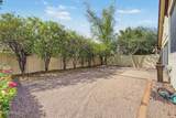 1229 Calle Del Norte - Photo 19