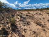 1505 Rancho Casero Drive - Photo 5