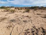 1505 Rancho Casero Drive - Photo 8