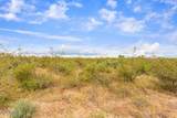 4 acres Conestoga Trail - Photo 11
