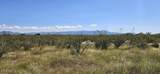 4 acres Conestoga Trail - Photo 8