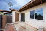 1112 Plaza Oro Loma - Photo 28