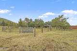 5535 Western Star Road - Photo 42