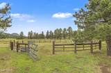 5535 Western Star Road - Photo 43