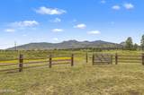 5535 Western Star Road - Photo 44