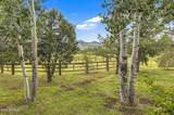 5535 Western Star Road - Photo 46