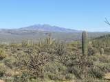 164xx Morning Vista Drive - Photo 1