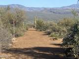 164xx Morning Vista Drive - Photo 3