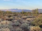 164xx Morning Vista Drive - Photo 7