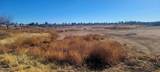 Lot 13 Swisshelm Trail - Photo 2