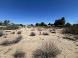 102xx Citrus Road - Photo 4