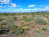 TBD Cottontail Lane - Photo 10