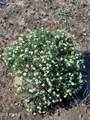 TBD Cottontail Lane - Photo 14